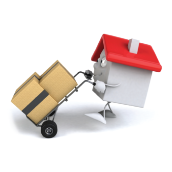 relocation